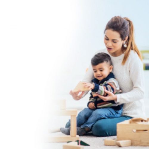 Επεξεργαστής ήχου Nucleus® CP802