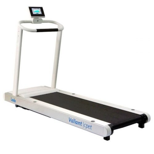 Valiant 2 cpet (938900)