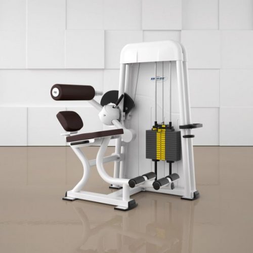 Abdominal Flexion 4000