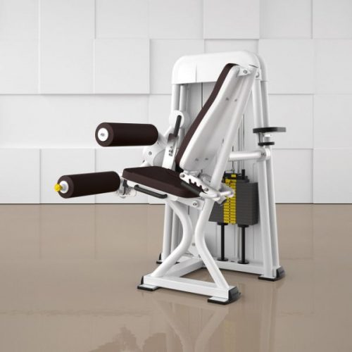Leg Flexion 4000